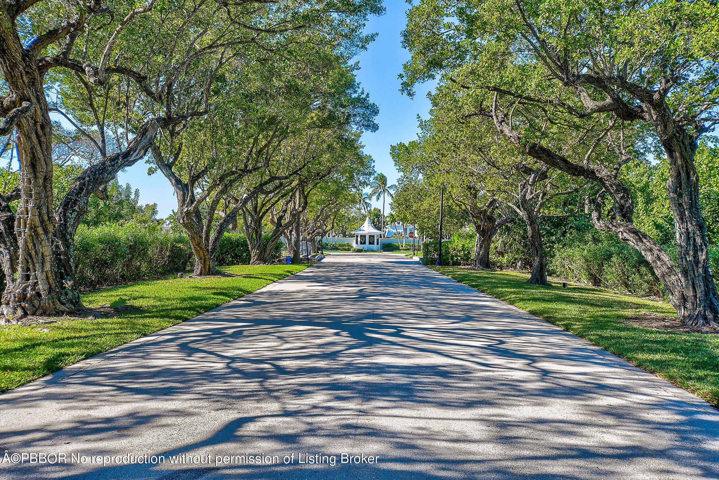 2170 Ibis Isle Road, Unit 2 Palm Beach, FL 33480 - Photo 2 of 38 a view of park with tree s