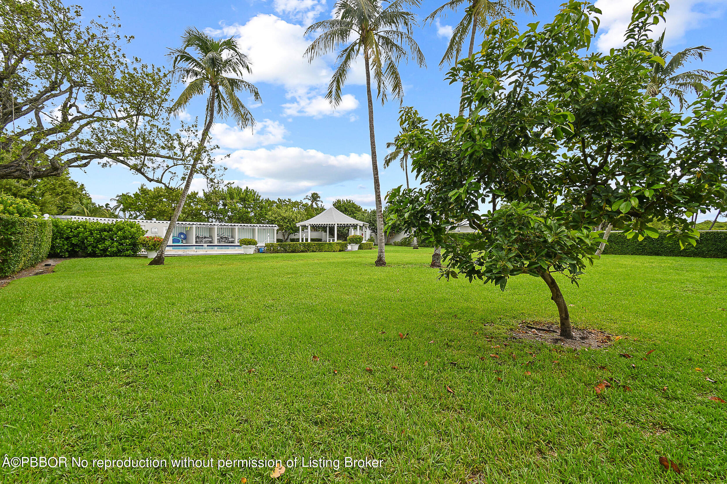 2170 Ibis Isle Road, Unit 2 Palm Beach, FL 33480 - Photo 31 of 38 a view of garden with trees