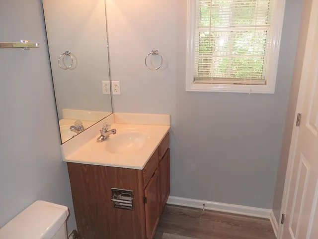 a bathroom with a sink a toilet and vanity