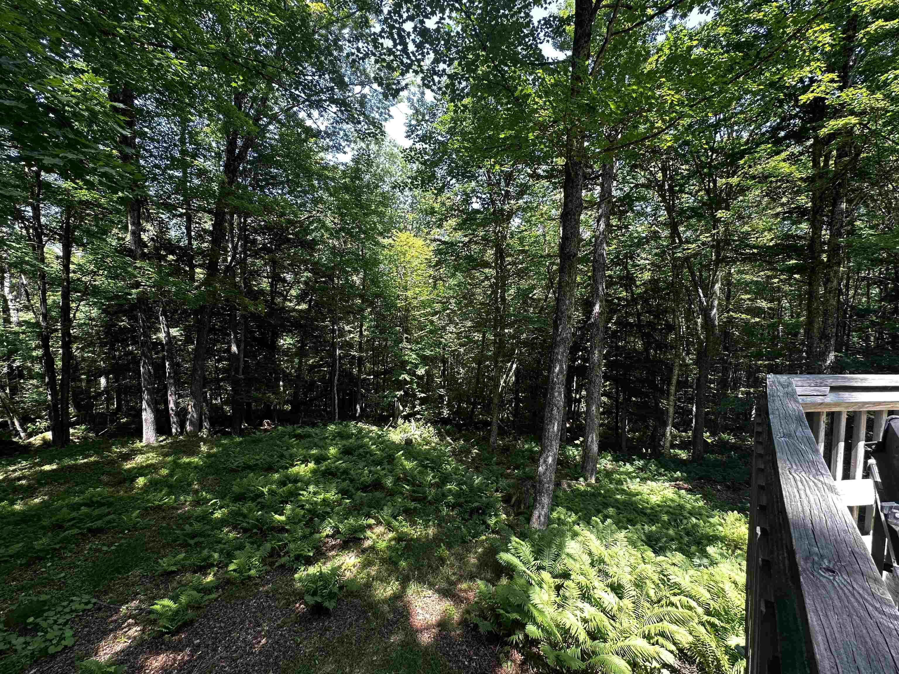 9 Crestbrook Place Springfield, NH 03753 - Photo 12 of 19