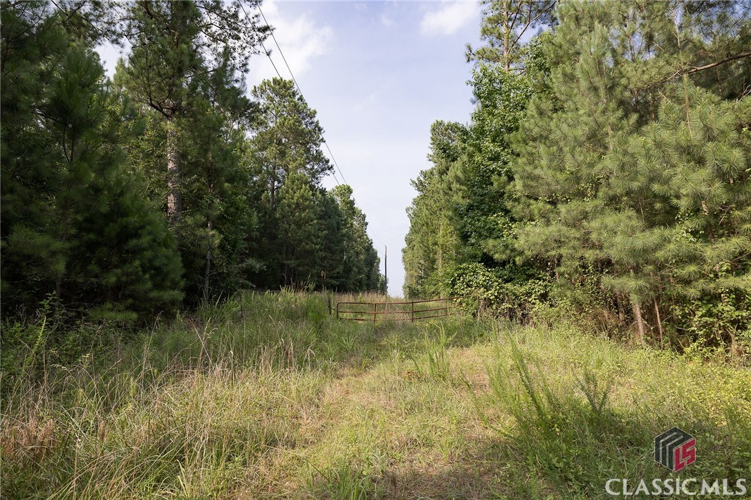 0 Waggoners Grove Church Road Colbert, GA 30628 - Photo 3 of 13