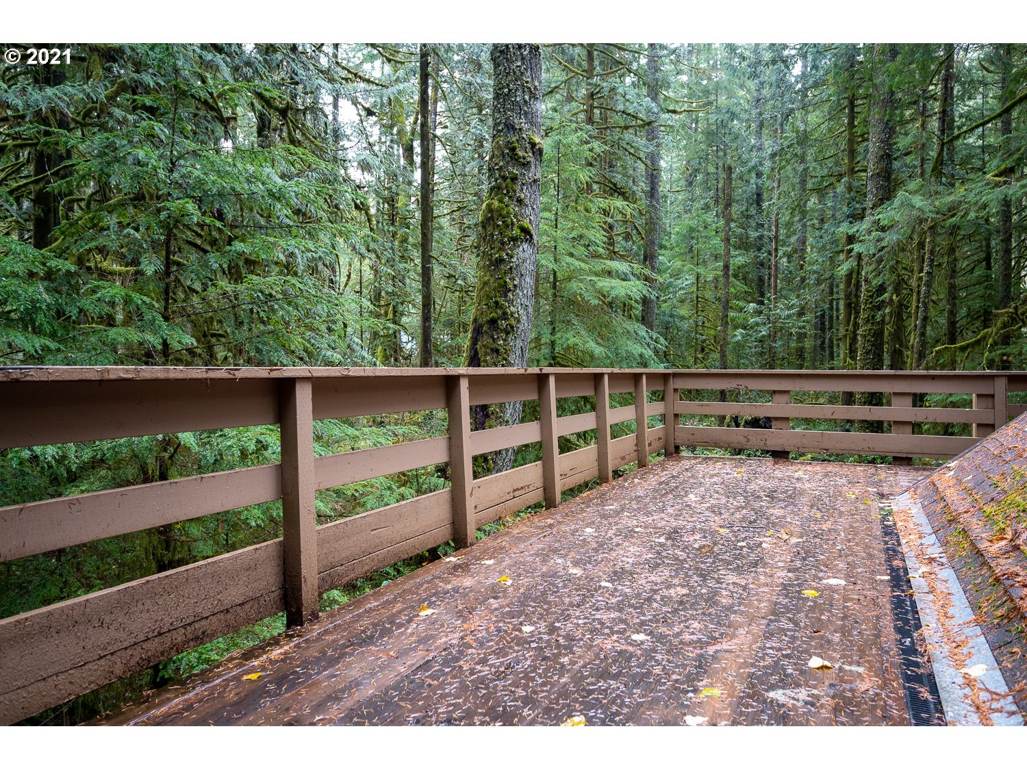 27068 East Road 14 Rhododendron, OR 97049 - Photo 20 of 32 Gallery Image 20
