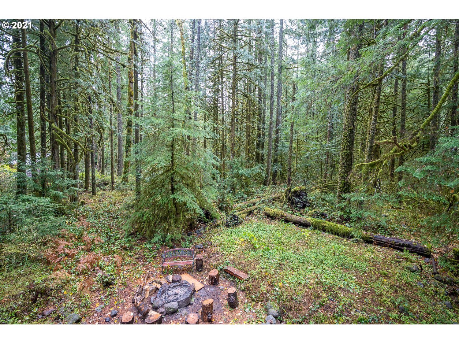 27068 East Road 14 Rhododendron, OR 97049 - Photo 21 of 32 Gallery Image 21