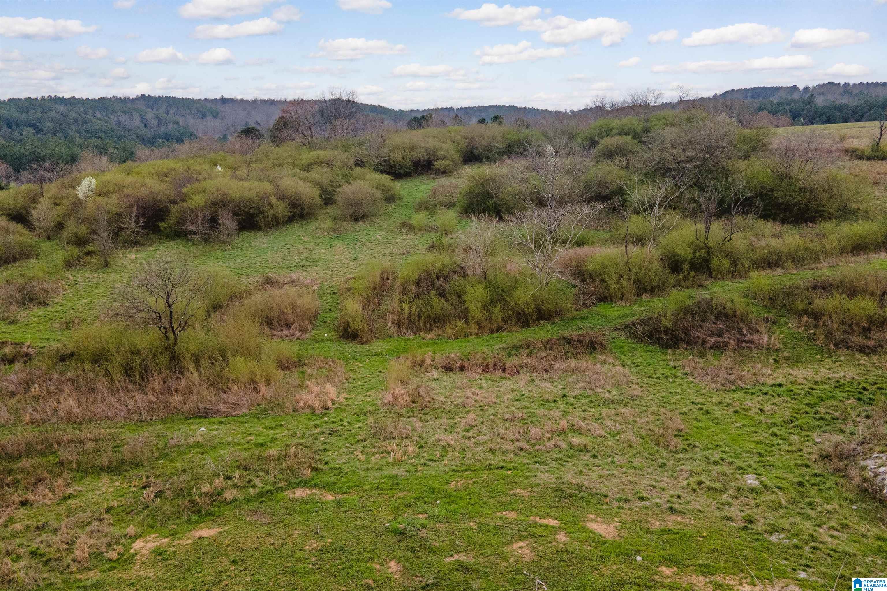 700 Sardis Road Gardendale, AL 35071 - Photo 13 of 16