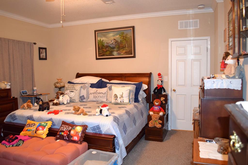 7252 County Road 49 Slocomb, AL 36375 - Photo 6 of 75