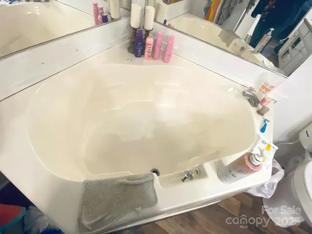 a view of a forest with a tree