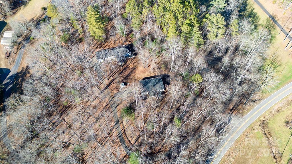 7368 Martins Creek Road Murphy, NC 28906 - Photo 19 of 21 a view of a forest with a tree