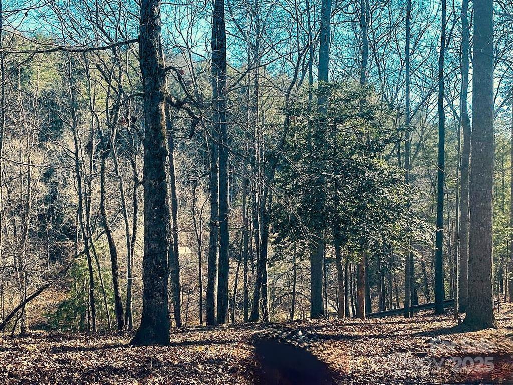 7368 Martins Creek Road Murphy, NC 28906 - Photo 2 of 21 a view of outdoor space with fountain