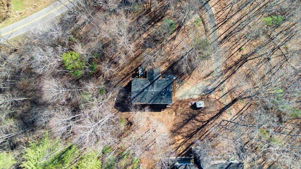 7368 Martins Creek Road Murphy, NC 28906 - Photo 6 of 21 a picture of tree