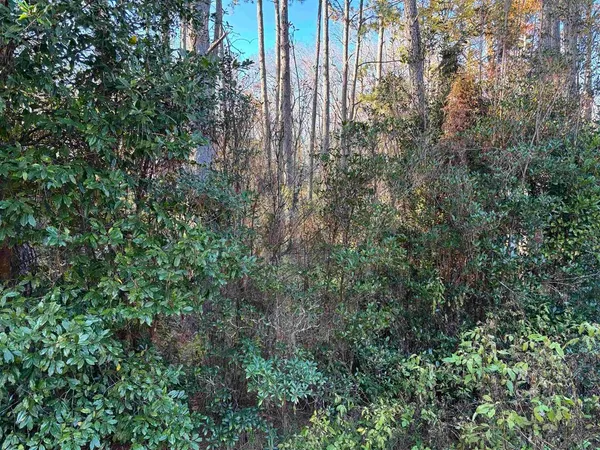 $50,000 | Xxx Box Wood Court, Tallahassee, FL 32303