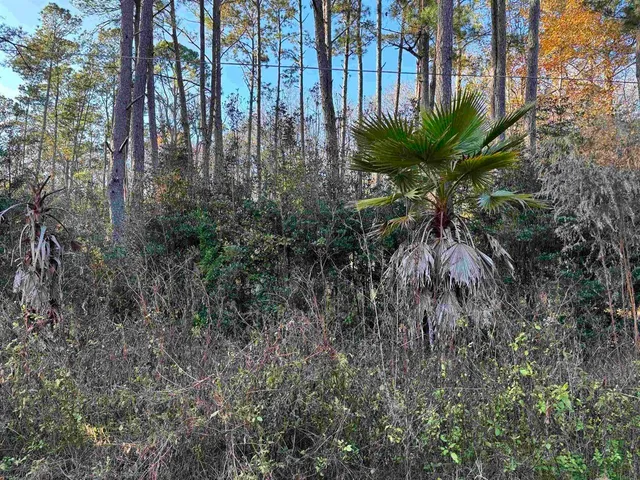 $60,000 | Xxx Box Wood Court, Tallahassee, FL 32303