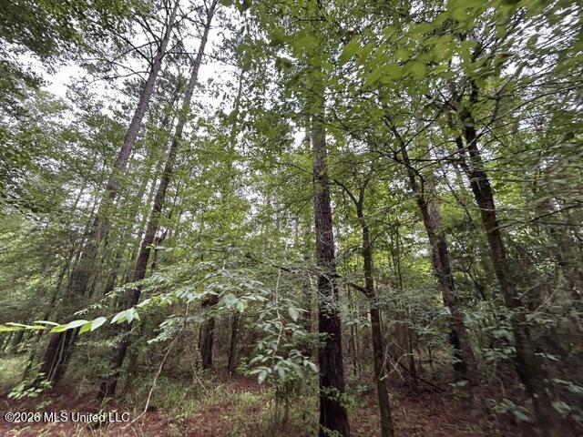 301 Freeman Road Southwest Summit, MS 39666 - Photo 14 of 43 IMG_4595