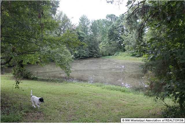 8864 Oak Grove Road Hernando, MS 38632 - Photo 9 of 17 Additional Photo