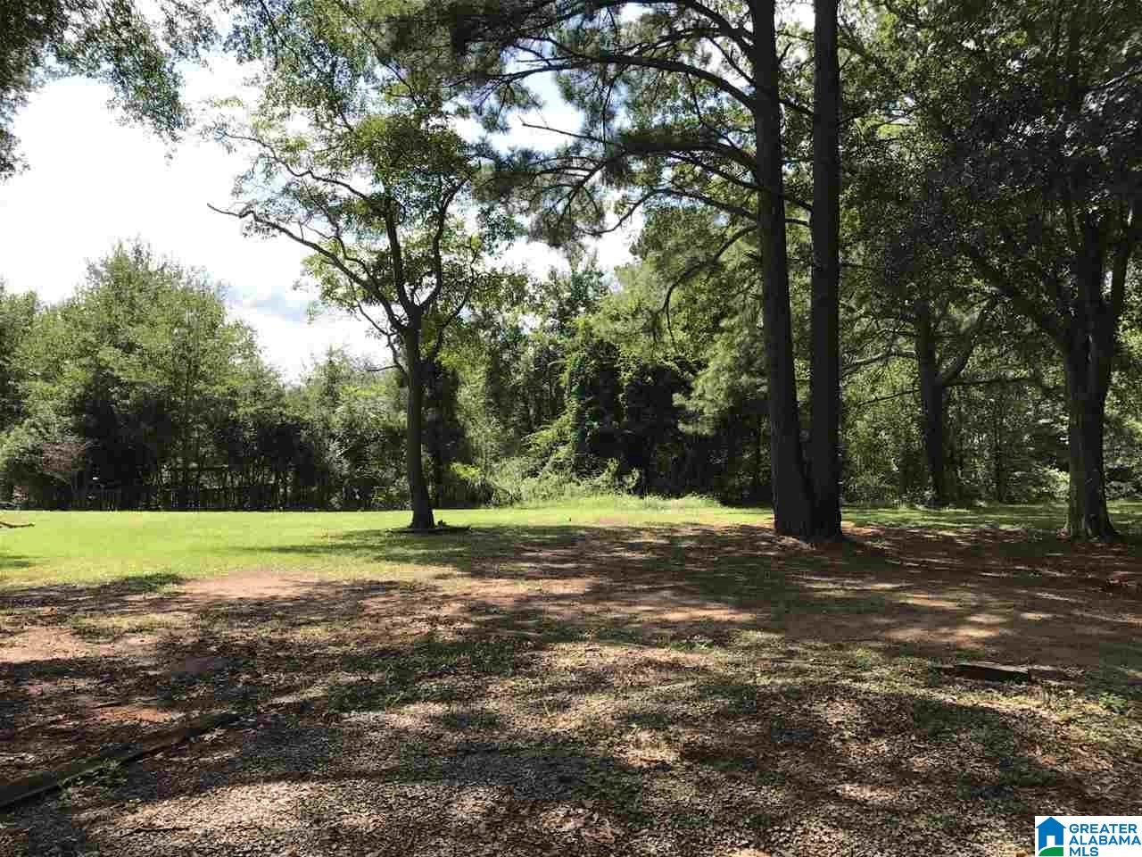 185 Carleton Point Lane Wilsonville, AL 35186 - Photo 6 of 48