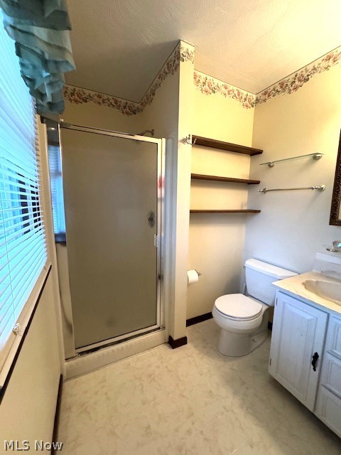 2036 Salt Springs Road Warren, OH 44481 - Photo 9 of 23 Bathroom with a shower with shower door, vanity, and toilet