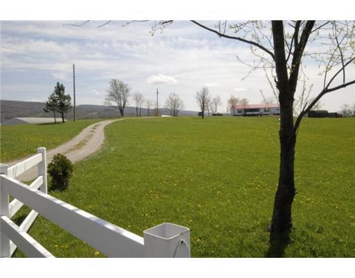 11 Jackie Frank Road Smithfield, PA 15478 - Photo 14 of 14 Other. Driveway