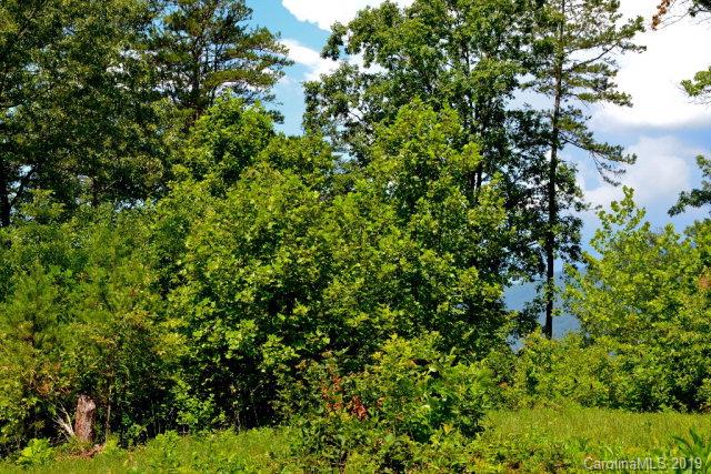 Off Hidden View Loop, Unit 810 Marion, NC 28752 - Photo 2 of 9 Gallery Image 2