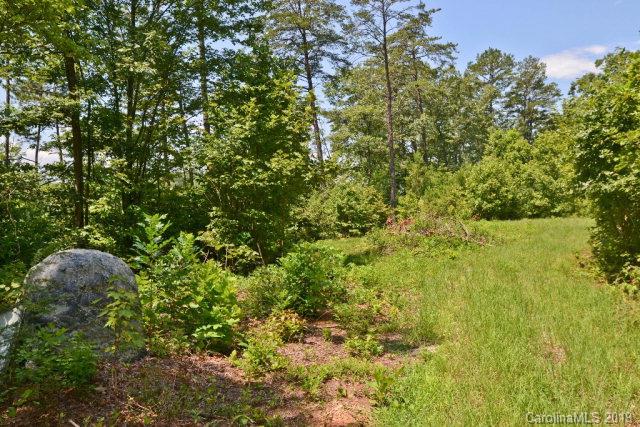 Off Hidden View Loop, Unit 810 Marion, NC 28752 - Photo 3 of 9 Gallery Image 3
