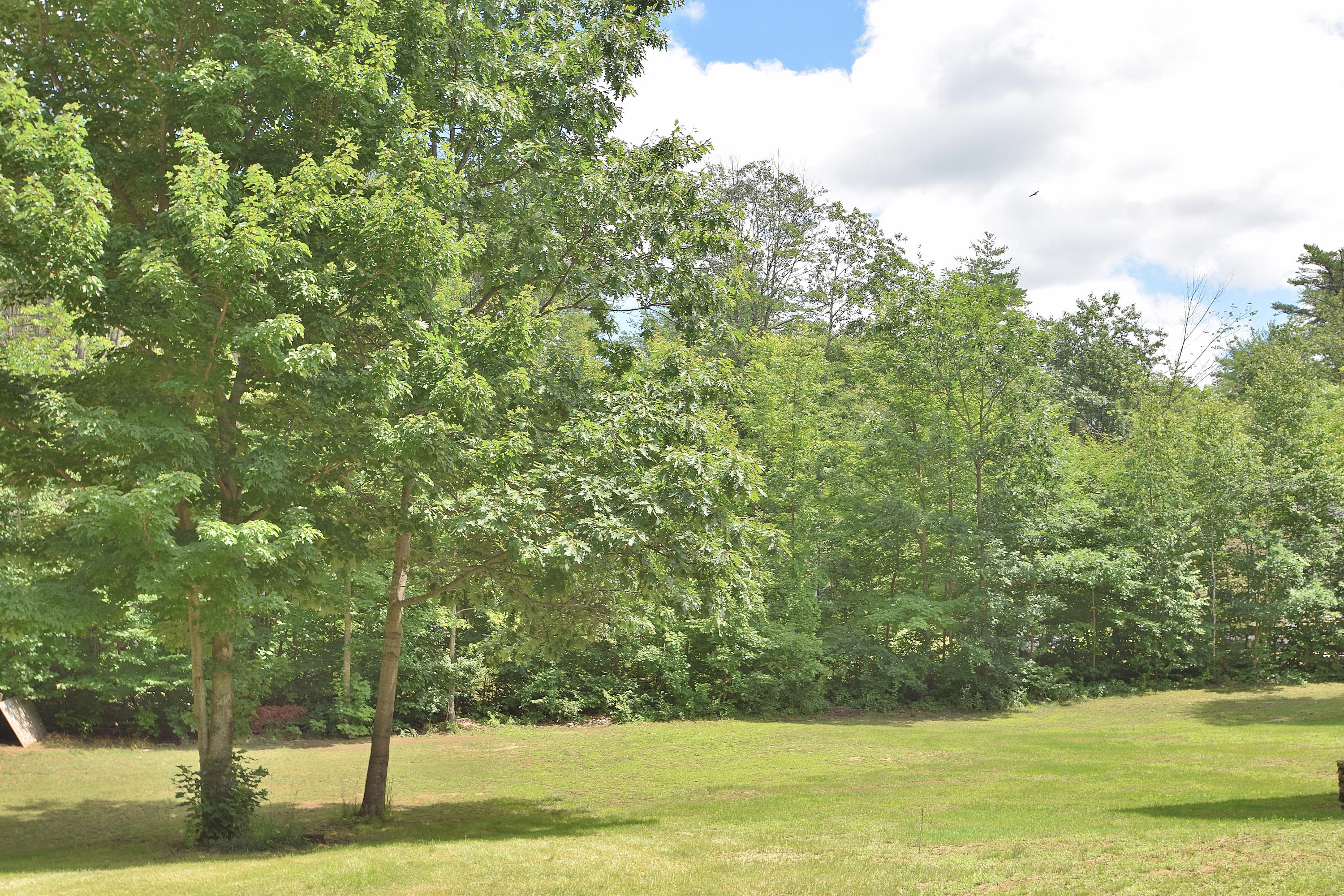 621 Webbs Mills Road Raymond, ME 04071 - Photo 49 of 66 yard 5