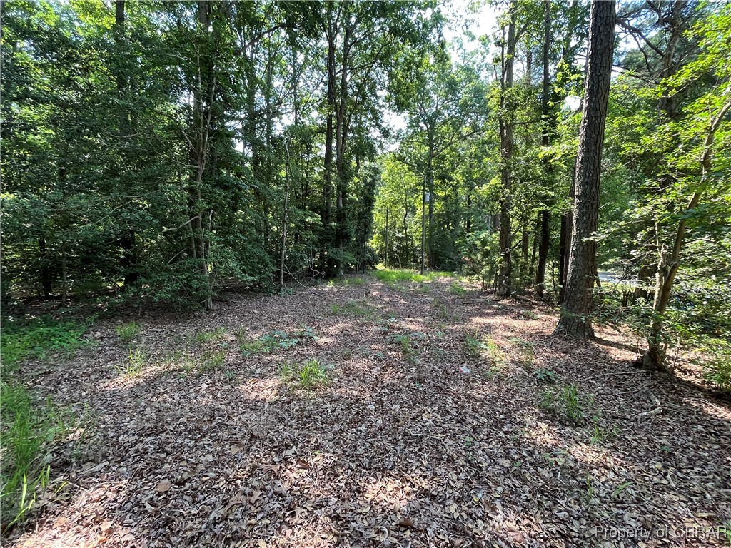 74-75 River Road Lancaster, VA 22503 - Photo 2 of 8