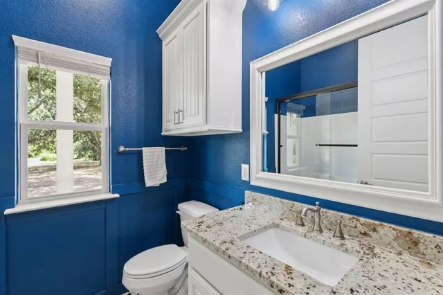a bathroom with a sink toilet vanity and mirror