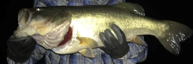 a close view of water heater and wooden floor