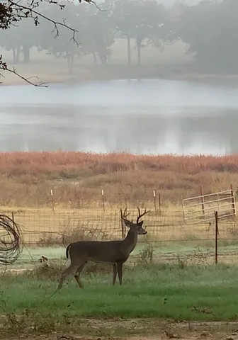 a view of lake with mountain in the background