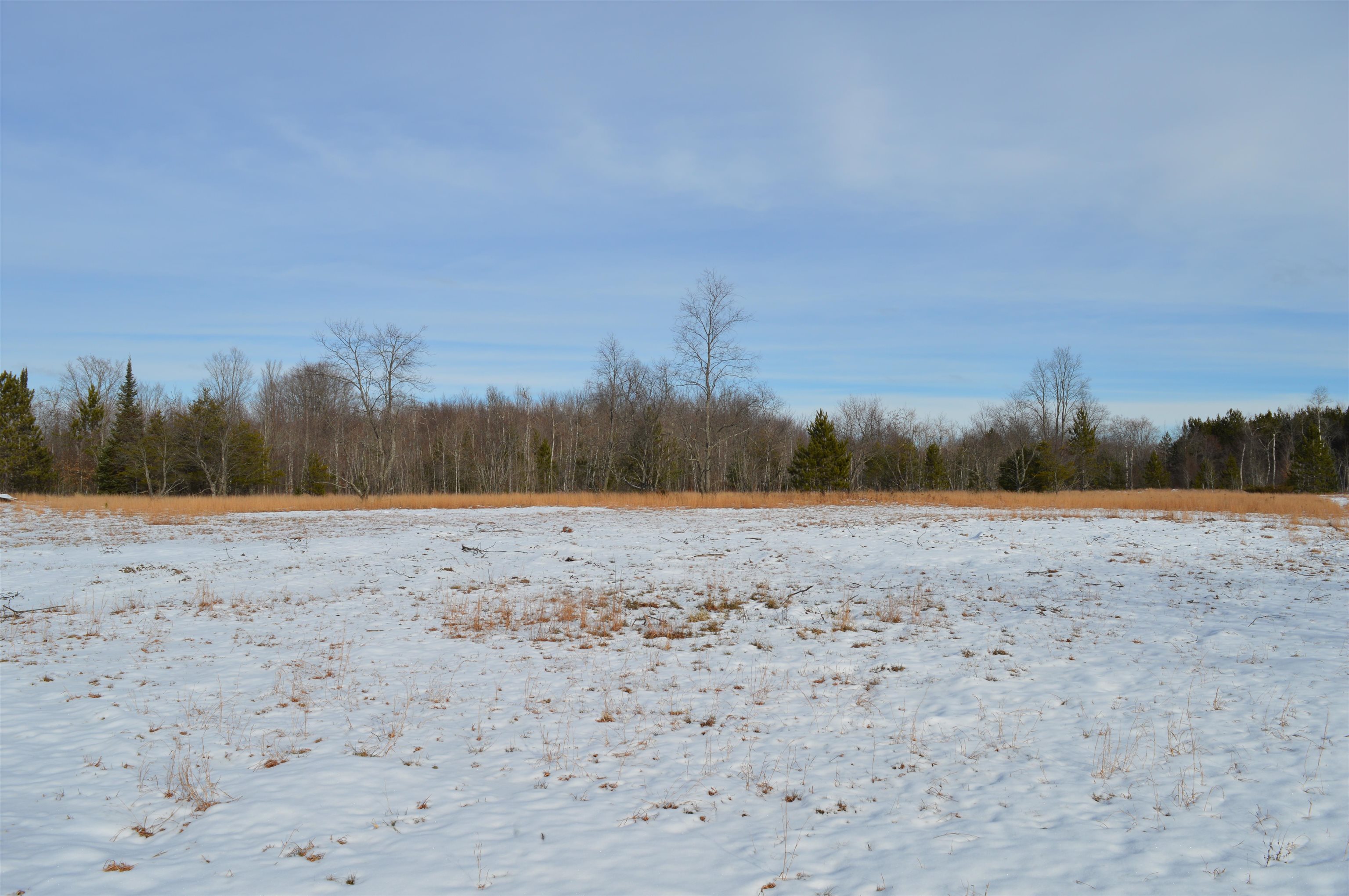 Off Wood Road Northeast Kalkaska, MI 49646 - Photo 13 of 22