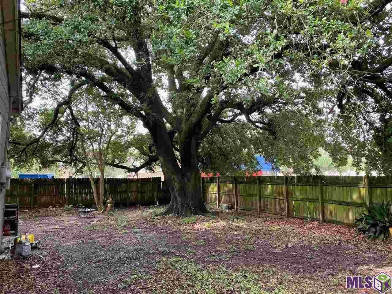 875 Aster Street Baton Rouge, LA 70802 - Photo 2 of 9