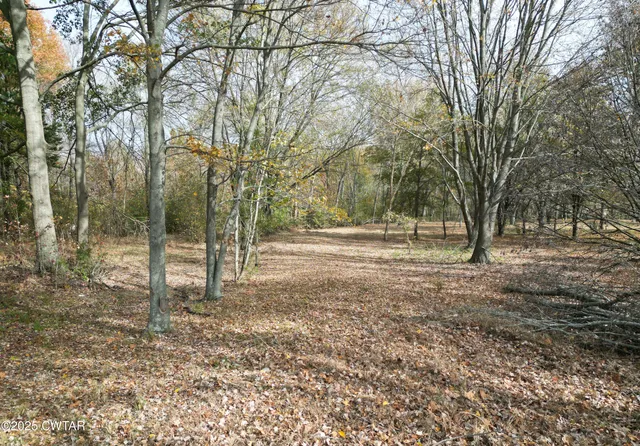$300,000 | 4605 Highway 412, Alamo, TN 38001