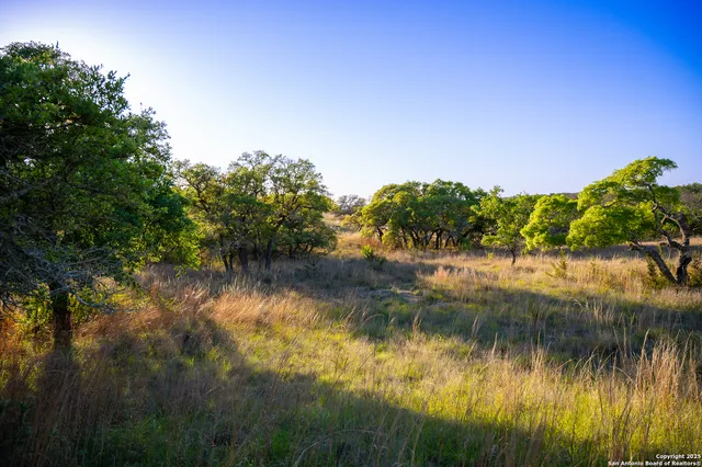 $260,000 | Lot 31 Shady Hollow, Blanco, TX 78606