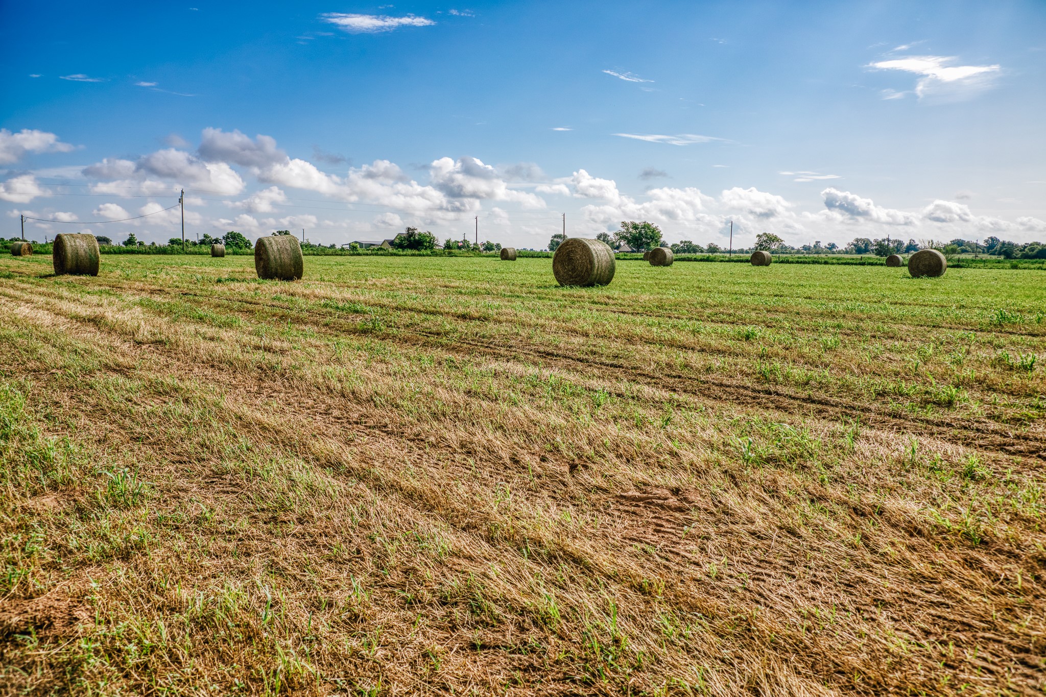0 Richard Frey Road Waller, TX 77484 - Photo 18 of 23