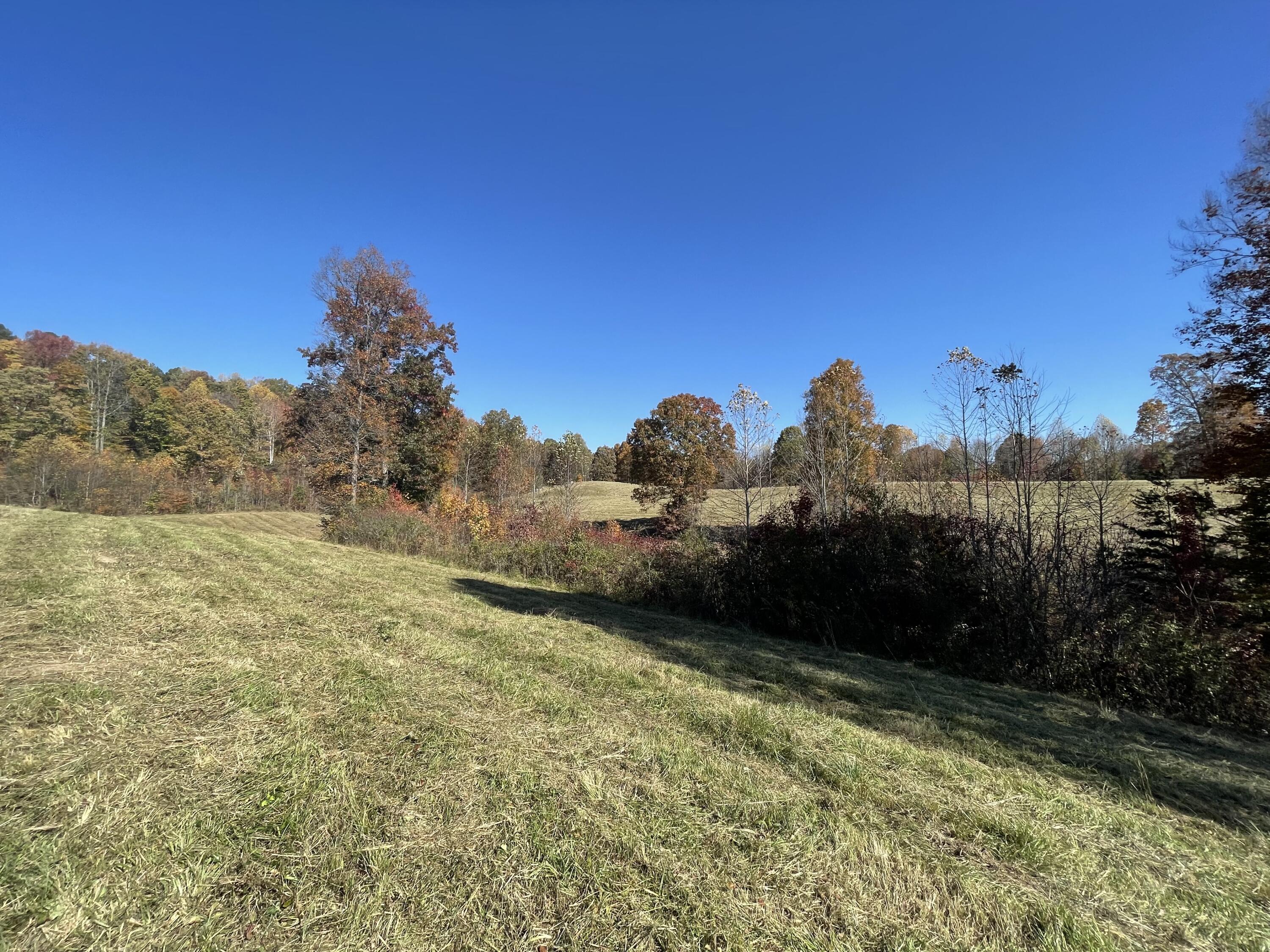 9999 Burnett Road London, KY 40744 - Photo 19 of 44 IMG_4213