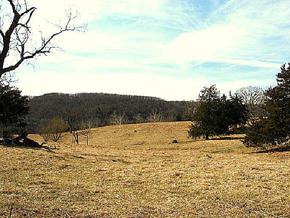 2 Camp Yocum Road Galena, MO 65656 - Photo 1 of 1 Primary Photo