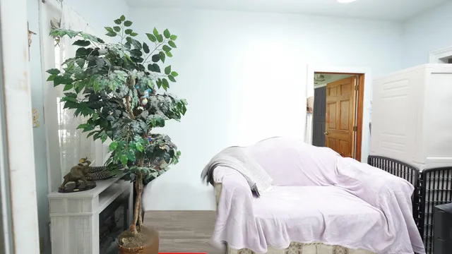 $550,000 | 207 Cherry Street, Three Oaks, MI 49128