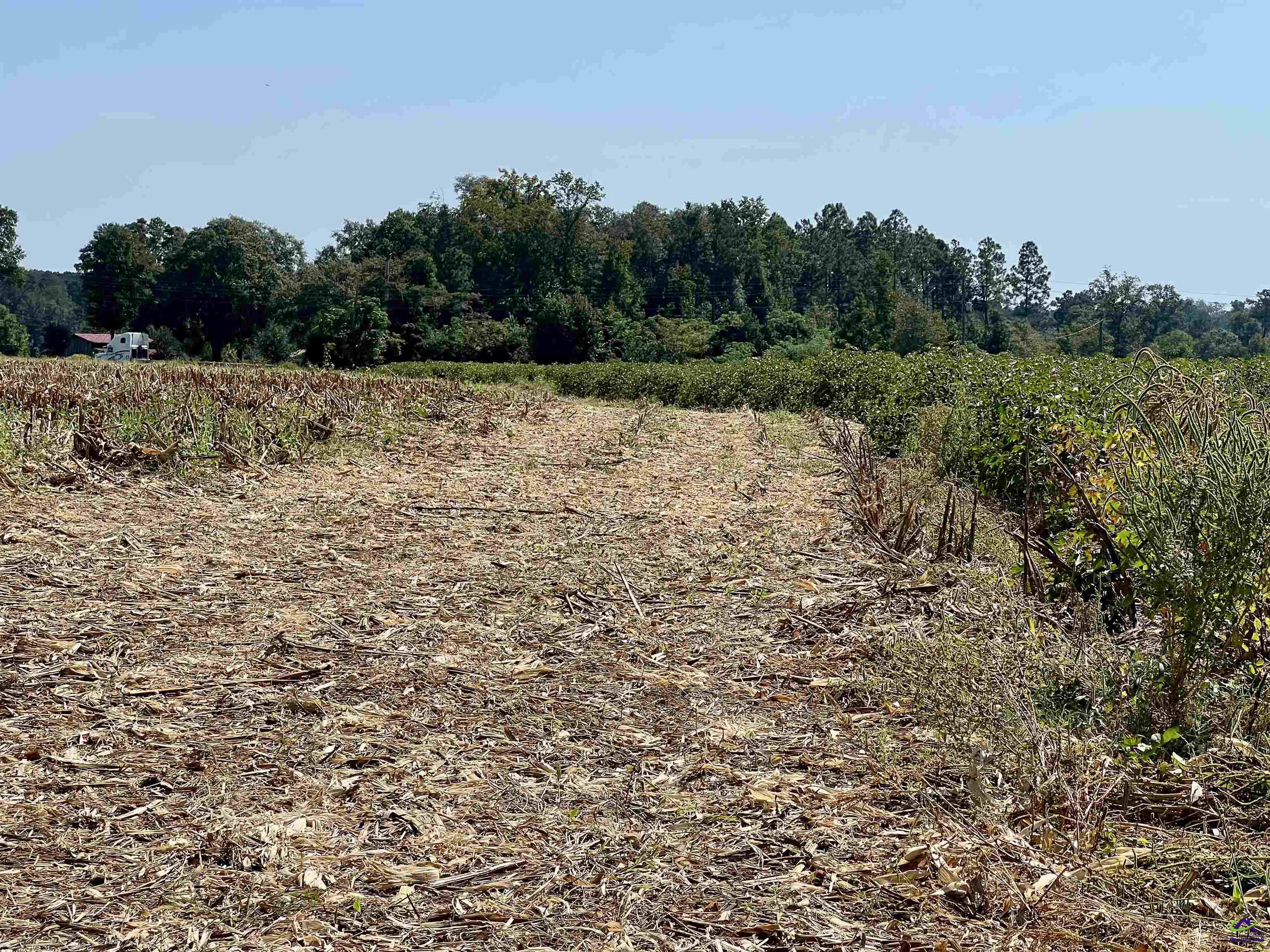 762 Nicholson-Carr Road Chester, GA 31012 - Photo 69 of 81 a view of a field with trees in the background