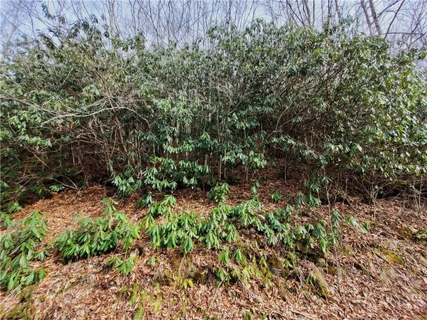 $15,000 | 118 Deergrass Road, Beech Mountain, NC 28604