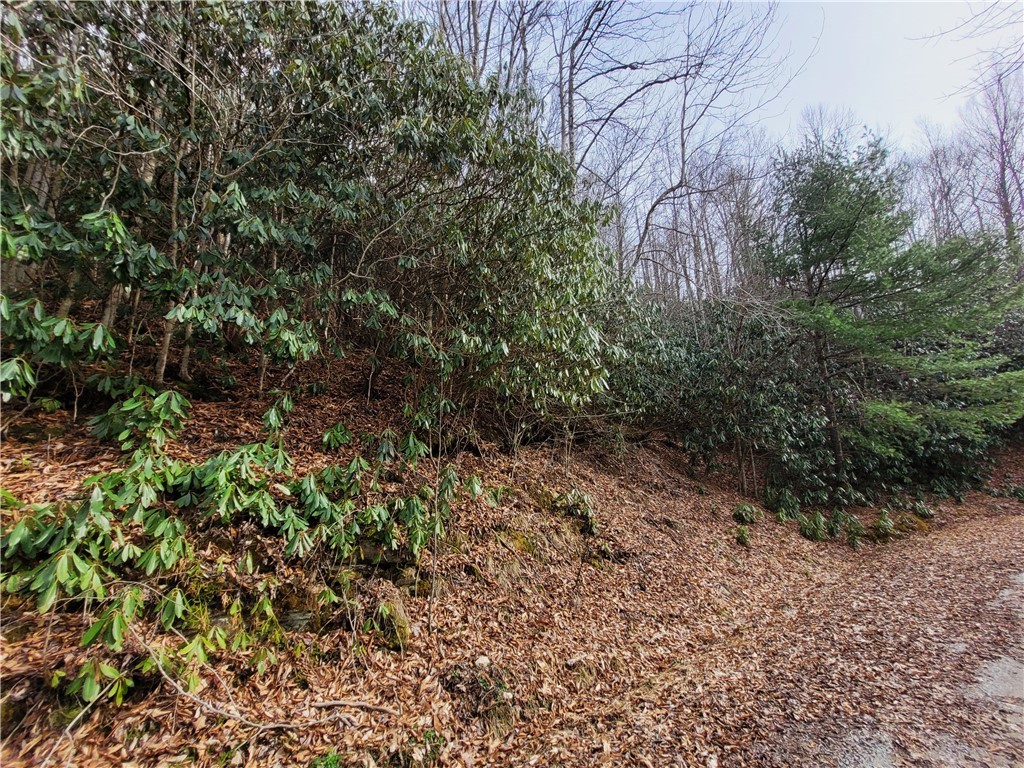 118 Deergrass Road Beech Mountain, NC 28604 - Photo 2 of 7