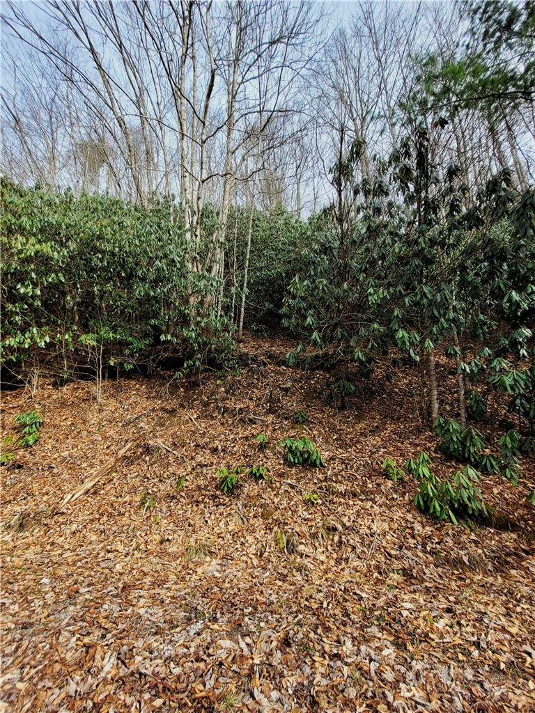 118 Deergrass Road Beech Mountain, NC 28604 - Photo 3 of 7