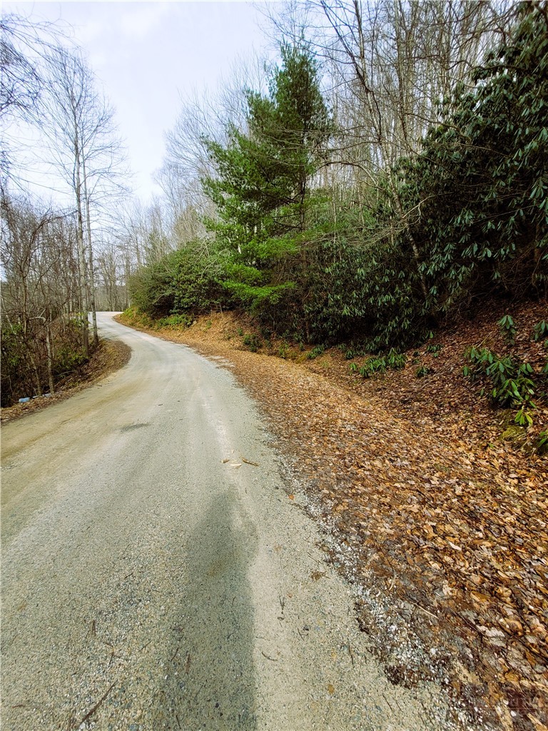 118 Deergrass Road Beech Mountain, NC 28604 - Photo 4 of 7