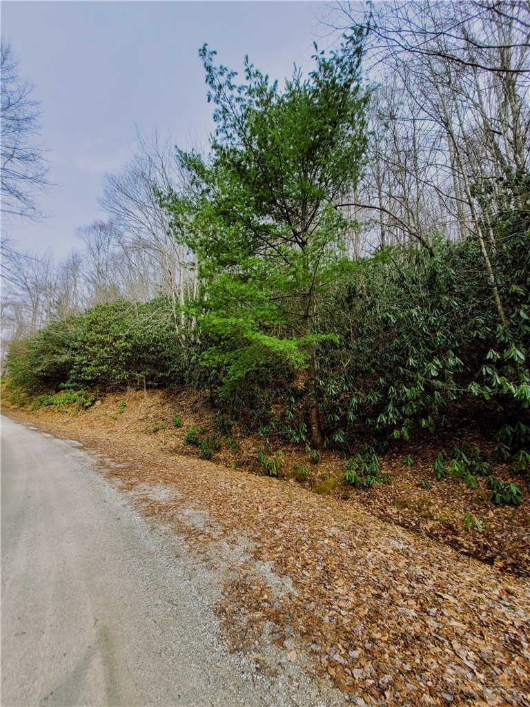 118 Deergrass Road Beech Mountain, NC 28604 - Photo 5 of 7