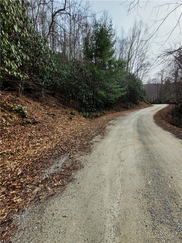 118 Deergrass Road Beech Mountain, NC 28604 - Photo 6 of 7