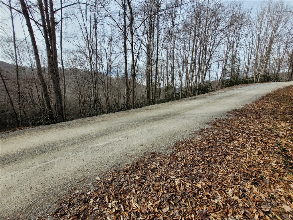 118 Deergrass Road Beech Mountain, NC 28604 - Photo 7 of 7