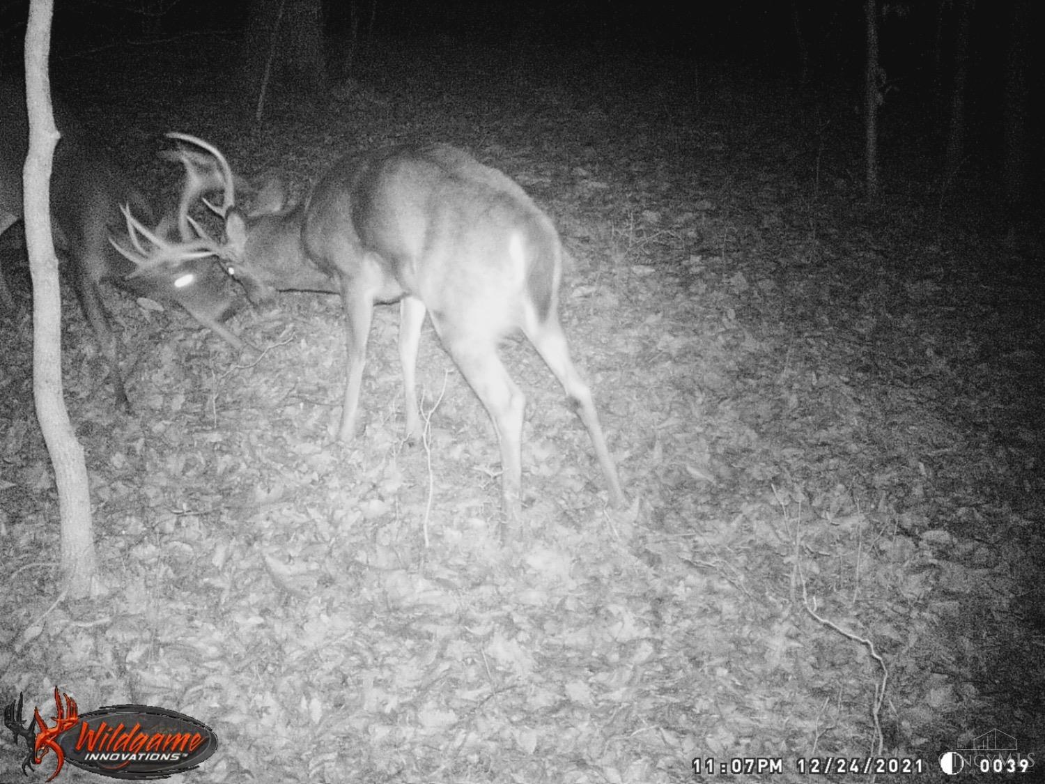 5534 State Rte 7 South Gallipolis, OH 45631 - Photo 30 of 75 Gallery Image 30