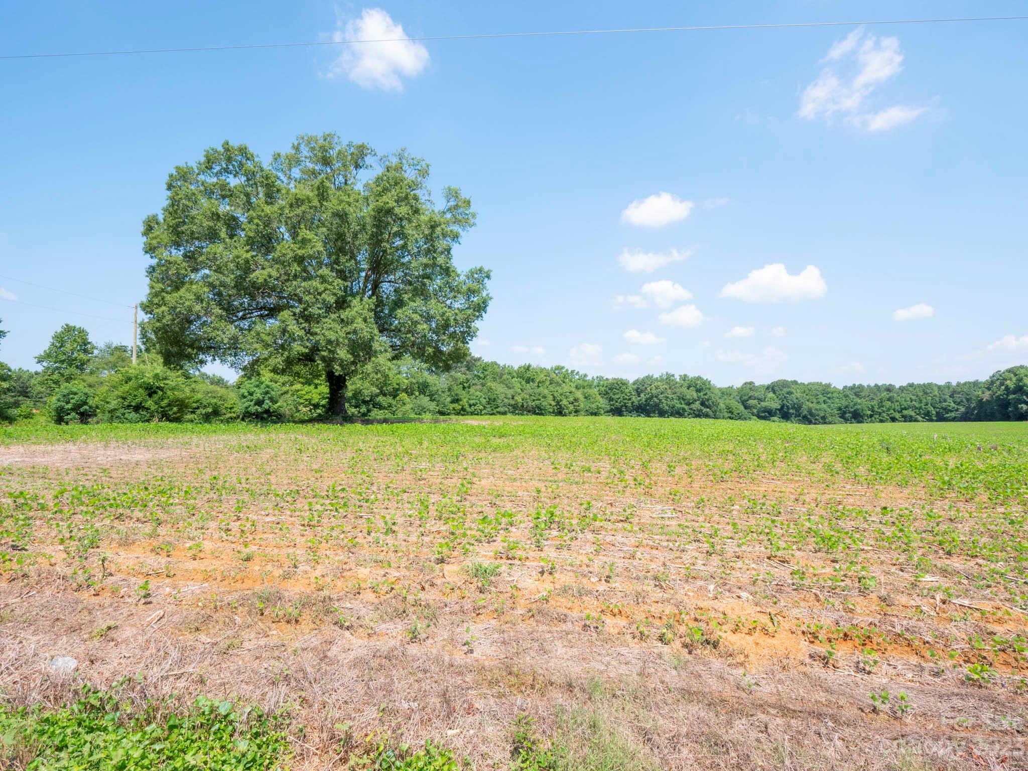 1 State Line Road, Unit 1 Marshville, NC 28103 - Photo 2 of 19 a view of lake with green space
