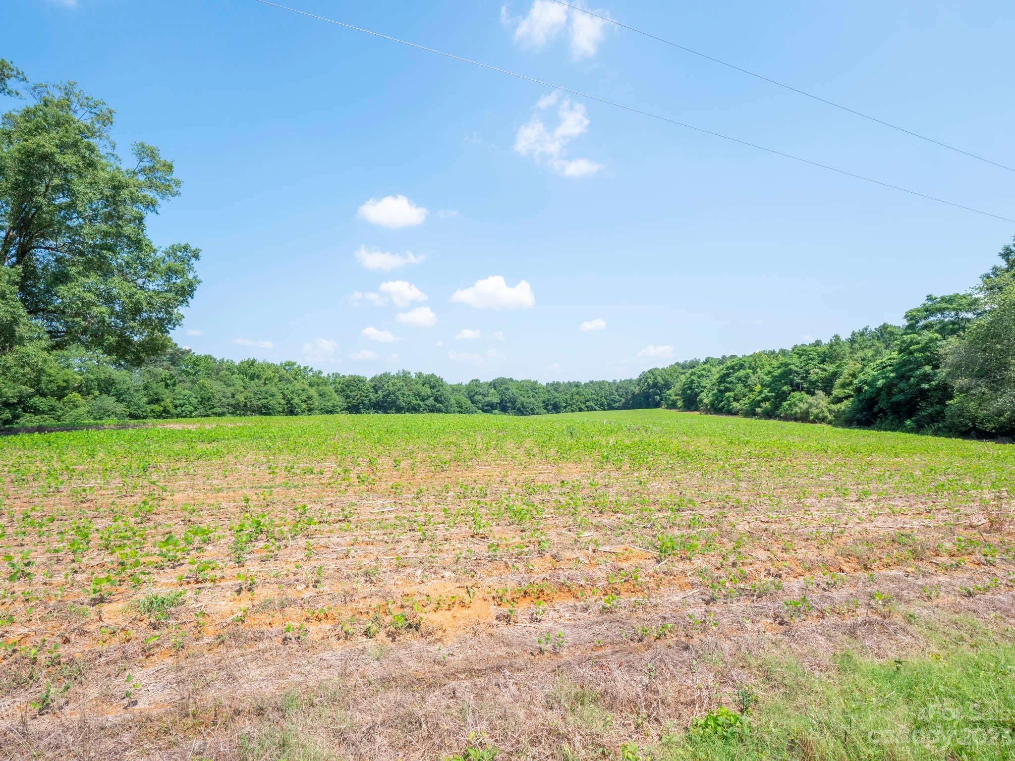 1 State Line Road, Unit 1 Marshville, NC 28103 - Photo 3 of 19 a view of lake with green space