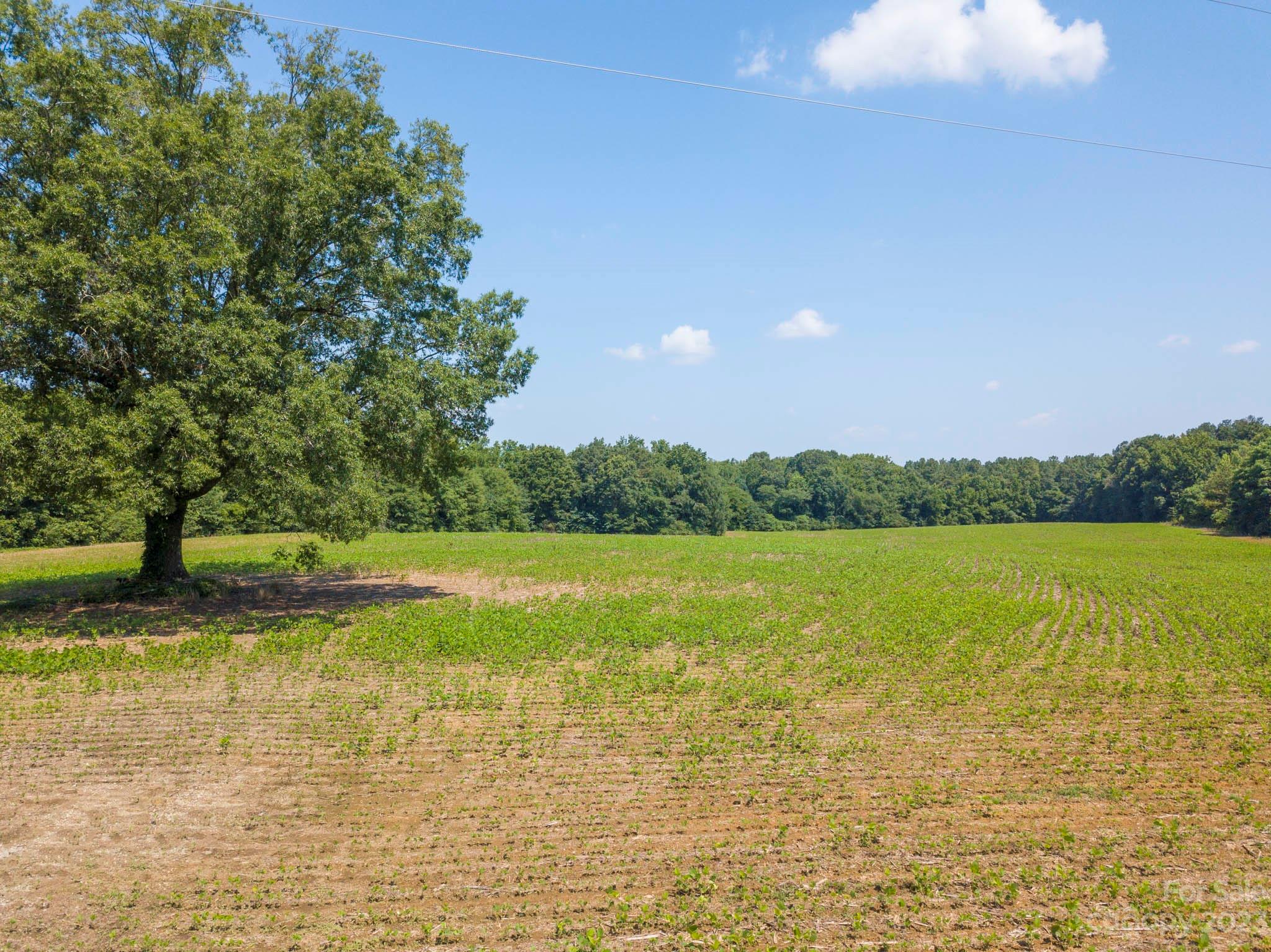 1 State Line Road, Unit 1 Marshville, NC 28103 - Photo 6 of 19 a view of a lake