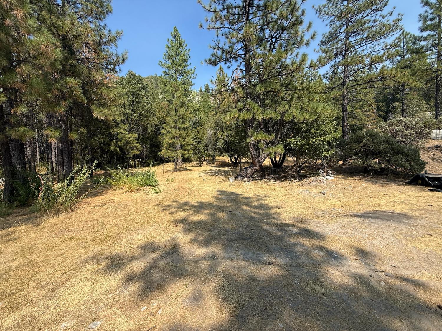 20710 Chalk Bluff Road Grass Valley, CA 95945 - Photo 12 of 47 Gallery Image 12