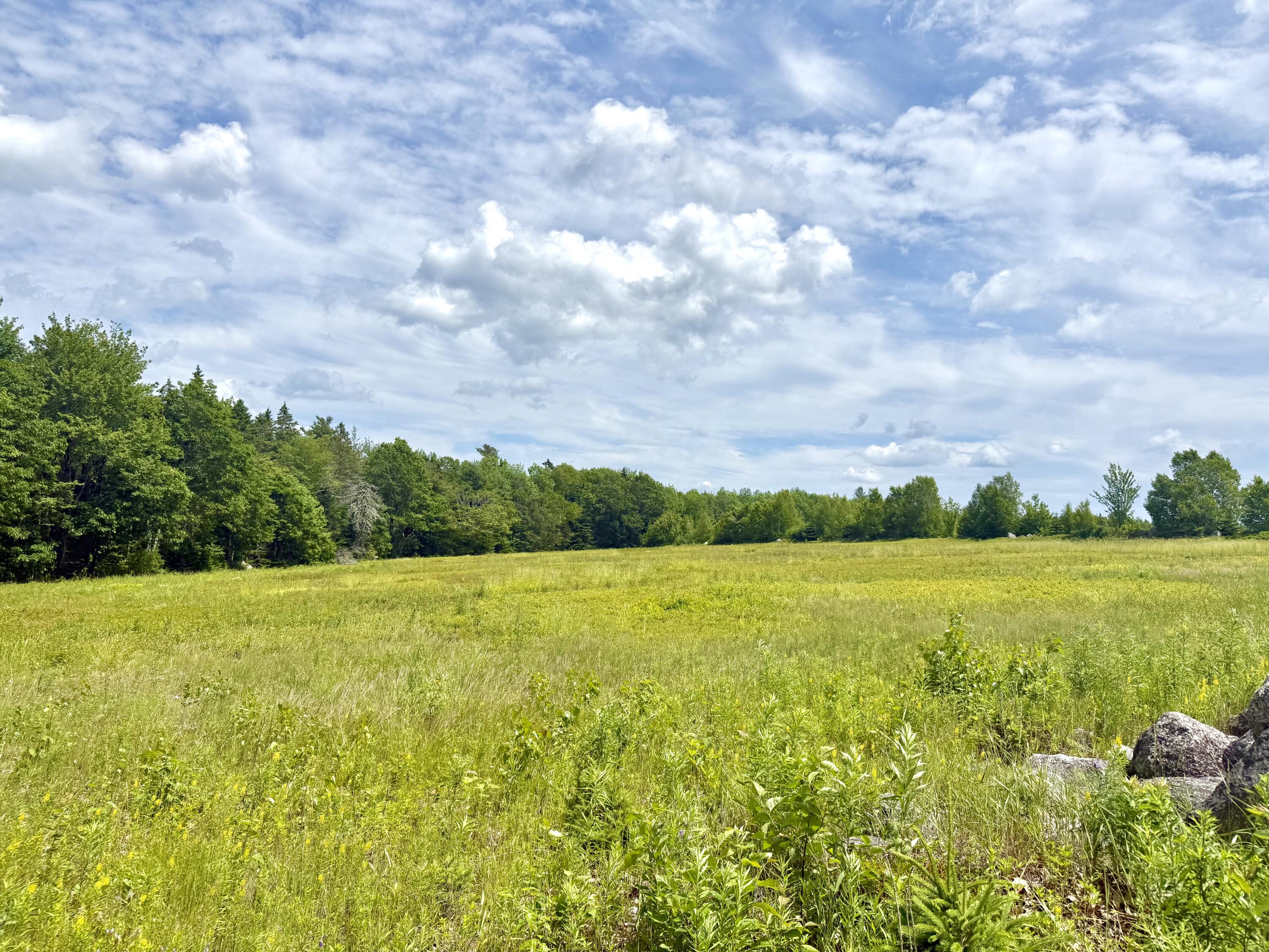 Map13-lot4 Martins Ridge Road Franklin, ME 04634 - Photo 8 of 21 Lot 4