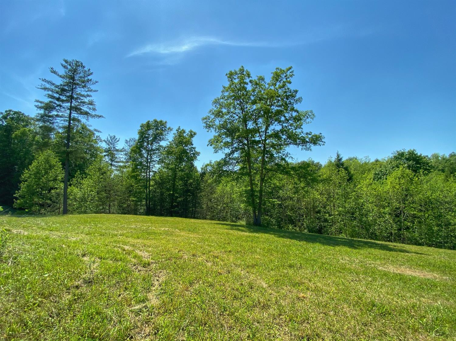 2 Harvest Ridge Road Campton, KY 41301 - Photo 8 of 12 Photo 9